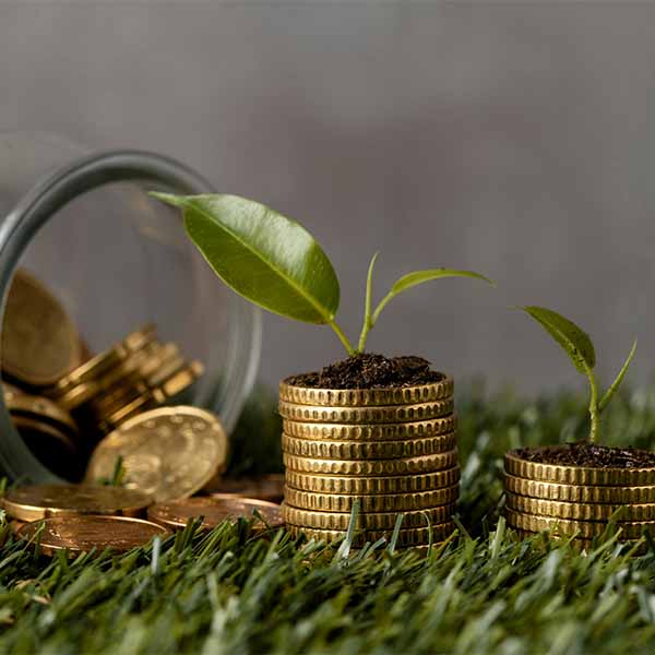 Capital Financing